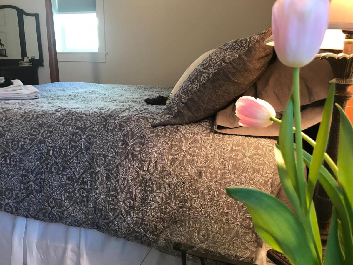 Snowgoose Pond Bed & Breakfast パーマー エクステリア 写真